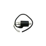 01-143-177 | COIL ASSEMBLY FOR POLARIS |