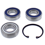 14-1077 |  ALL BALLS CHAIN CASE BEARING & SEAL KIT |