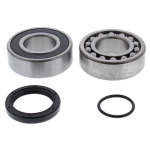 14-1071 | All Balls Jack Shaft Bearing & Seal Repair Kit Snowmobile |