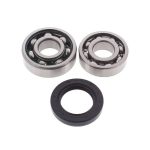 14-1029 | All Balls Shaft Bearing and Seal Kit |