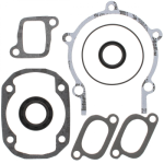 Complete Gasket Set 711195