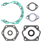 Complete Gasket Set 711308