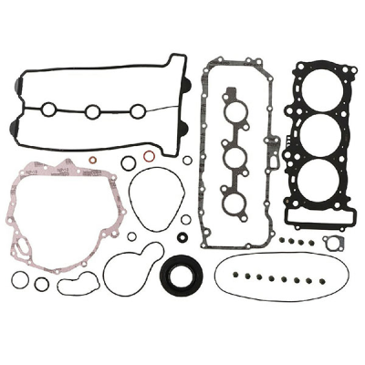 Complete Gasket Set 711319