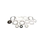 Complete Gasket Set 711146B