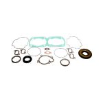 Complete Gasket Set 711147B