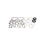Complete Gasket Set 711162A