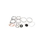 Complete Gasket Set 711163X