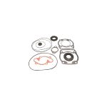 Complete Gasket Set 711163Y