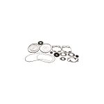 Complete Gasket Set 711165C