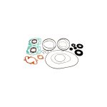 Complete Gasket Set 711165E