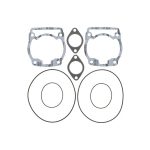 Top End Gasket Set  710163Y