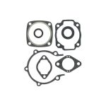 Complete Gasket Set 711022Y