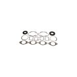 Complete Gasket Set 711048B