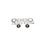 Complete Gasket Set 711054X