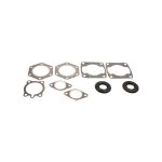 Complete Gasket Set 711075B