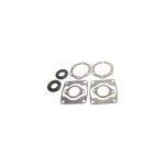 Complete Gasket Set 711079B