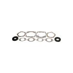Complete Gasket Set 711087A