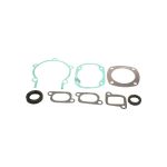 Complete Gasket Set 711119B