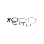 Complete Gasket Set 711119C