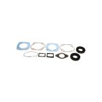 Complete Gasket Set 711120A