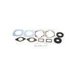 Complete Gasket Set 711120B