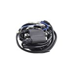 RM06048 | External Ignition Coil for Arctic Cat Bearcat Cheetah Cougar El Tigre EXT Jag Wildcat Z ZL ZR 340-700 1987-2002 3005-185 |