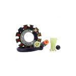 RM01349 | Stator for Ski-Doo Formula III Grand Touring Mach 1 Mach Z 600 700 800 1998-2003 | 410922700 / 410922927 / 410922901 |