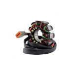 RM01507 | Generator Stator for Polaris Genesis / FFI / I | MSX 140 | Virage I / TXI 1999-2004 | OEM Repl.# 4010320 |