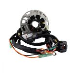 RMS010-108073 | Generator Stator for Kawasaki KX 250 1998 | OEM# 21003-1322 / 21003-1380 |
