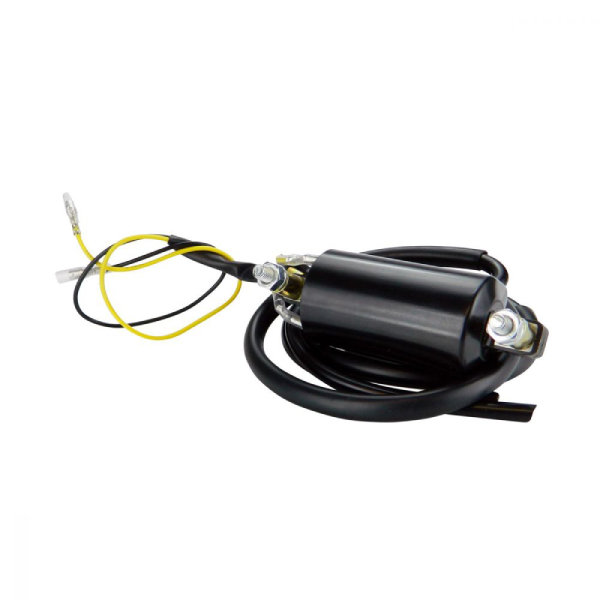 RMS060-104477 | Pillar Type Electronic Ignition Conversion 1 ohm Dual Lead 6 Volts Ignition Coil for Honda Kawasaki Suzuki Yamaha |