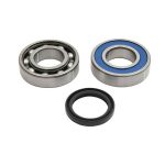 14-1083 | ALL BALLS CHAIN CASE BEARING & SEAL KIT |
