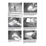 12-200-106 | MR175 New Seat Cover Honda 1975-77 MR 175 | - Image 4