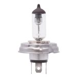 01-178-07 | Halogen Clear H4 P45T 100/80