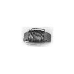01-103 | Lighting Coil - Arctic Cat 3000-179 , 3000-063 |