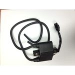 01-143-112 | Ignition Coil -Polaris |