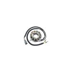01-51371 | Stator Ski-Doo 550 Fc 2011-18
