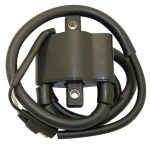 01-143-69 | Ignition Coil, Polaris #4060229 |