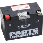 CT12A-BS | Parts Unlimited Factory Activated AGM Battery