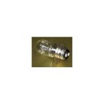 AAA004750 | Light Bulb  3603 12V 25/25W