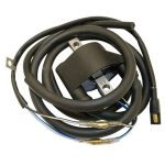 01-143-120 | Ignition Coil