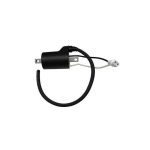 01-143-54 | Ignition Coil