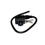 01-143-60 | Ignition Coil