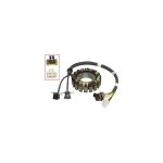 01-245-69 | Stator