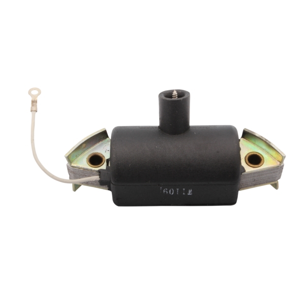 01-142 | Internal Ignition Coil
