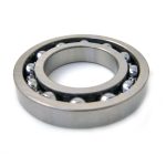 029-160-06 | 16006 C3 Bearing 30X55X9