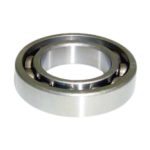029-600-73 | Bearing VIL AAB 6007 C4 35X62X14