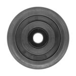 04-116-207 | Plain Black Idler Wheel 5.1 O.D x .787 I.D x 6205 Bearing