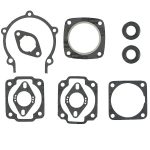 09-711024 | Engine Gasket Sets & Oil Seals Ski Doo/Moto-Ski