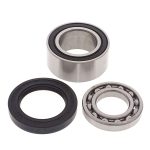 14-1010 | Arctic Cat Chain Case Bearing & Seal Kit (Jack)