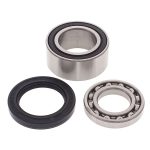 14-1011 | Arctic Cat Chain Case Bearing & Seal Kit (Jack)